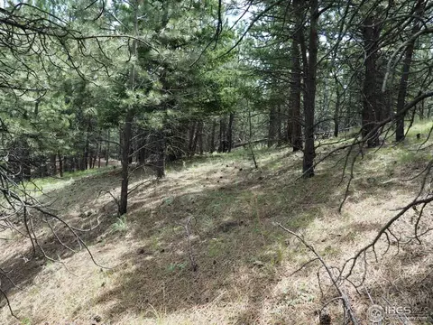 94 County Road 83, Boulder, CO 80302 photo 13