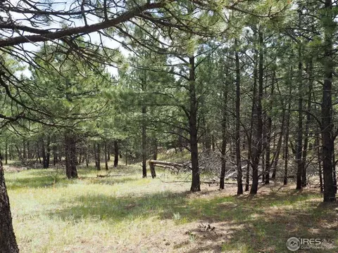 94 County Road 83, Boulder, CO 80302 photo 10