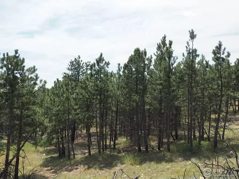94 County Road 83, Boulder, CO 80302 photo 5