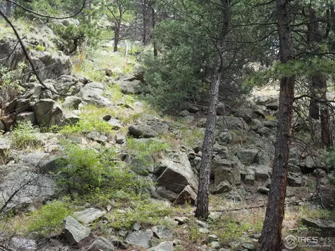 94 County Road 83, Boulder, CO 80302 photo 12