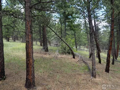 94 County Road 83, Boulder, CO 80302 photo 30