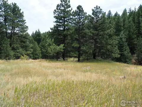 94 County Road 83, Boulder, CO 80302 photo 22