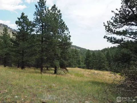 94 County Road 83, Boulder, CO 80302 photo 24
