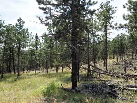 94 County Road 83, Boulder, CO 80302 photo 6