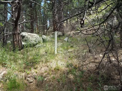 94 County Road 83, Boulder, CO 80302 photo 23