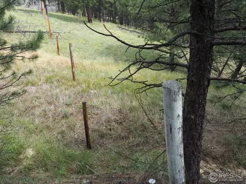 94 County Road 83, Boulder, CO 80302 photo 9