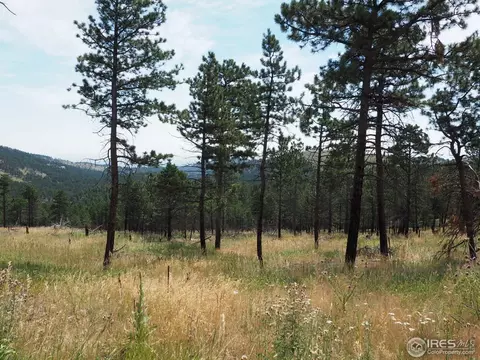 94 County Road 83, Boulder, CO 80302 photo 8