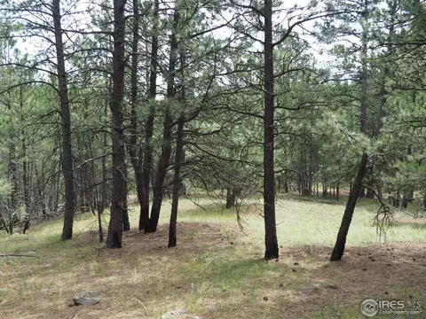 94 County Road 83, Boulder, CO 80302 photo 14