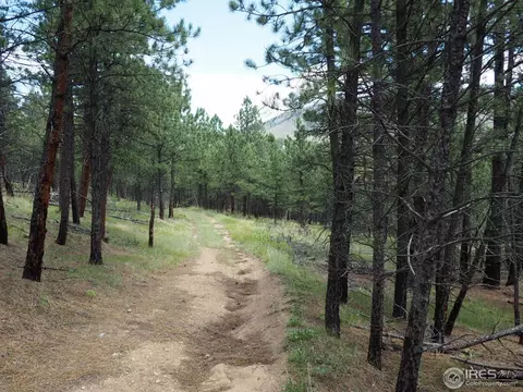 94 County Road 83, Boulder, CO 80302 photo 29