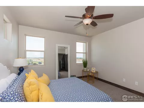 1849 Wyatt Dr, Windsor, CO 80550 photo 18