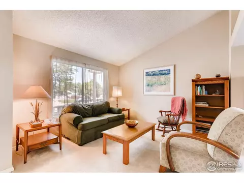 5100 E 117th Dr, Thornton, CO 80233 photo 9