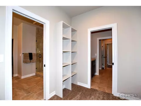 6031 Crooked Stick Dr, Windsor, CO 80550 photo 18