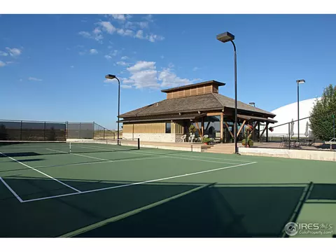 6031 Crooked Stick Dr, Windsor, CO 80550 photo 33