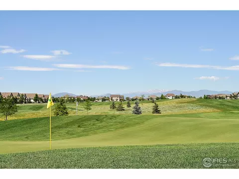 6031 Crooked Stick Dr, Windsor, CO 80550 photo 34