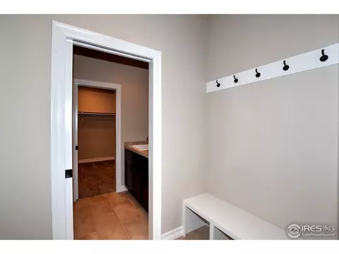 6031 Crooked Stick Dr, Windsor, CO 80550 photo 19