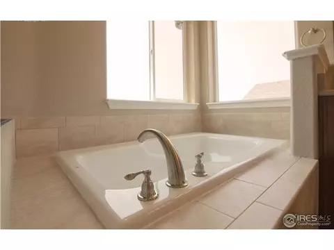 4046 Carroway Seed Dr, Johnstown, CO 80534 photo 9