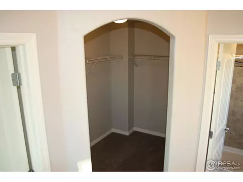 4046 Carroway Seed Dr, Johnstown, CO 80534 photo 31