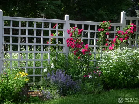 630 Pine St, Boulder, CO 80302 photo 30