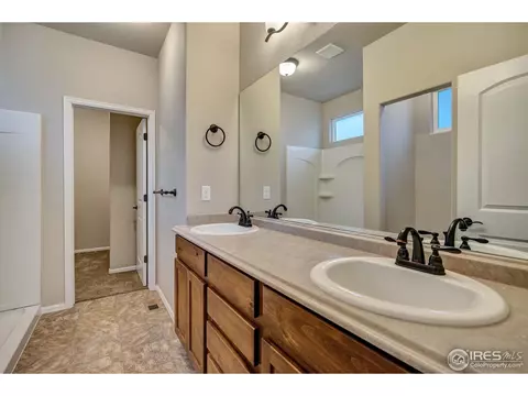 818 Mt Sneffels Ave, Windsor, CO 80550 photo 21