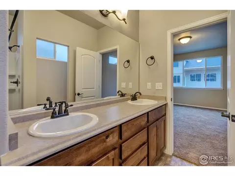 818 Mt Sneffels Ave, Windsor, CO 80550 photo 20