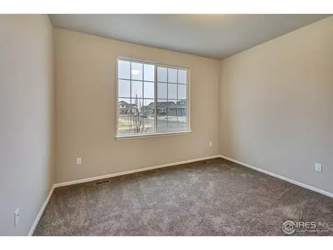 818 Mt Sneffels Ave, Windsor, CO 80550 photo 13
