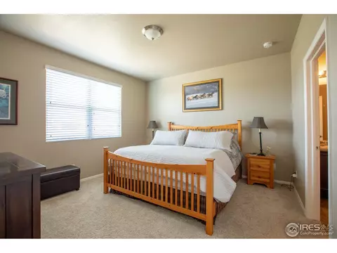 1533 Taplow Ct, Windsor, CO 80550 photo 20