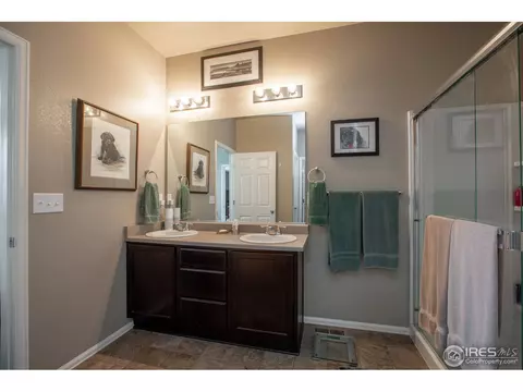 1533 Taplow Ct, Windsor, CO 80550 photo 24