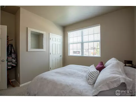 1533 Taplow Ct, Windsor, CO 80550 photo 18