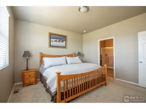 1533 Taplow Ct, Windsor, CO 80550 photo 21