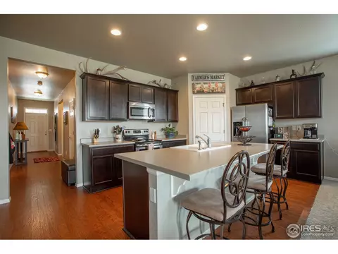 1533 Taplow Ct, Windsor, CO 80550 photo 1