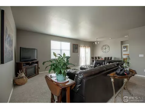 1533 Taplow Ct, Windsor, CO 80550 photo 6