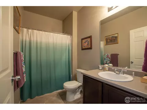 1533 Taplow Ct, Windsor, CO 80550 photo 17