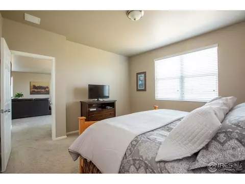 1533 Taplow Ct, Windsor, CO 80550 photo 22