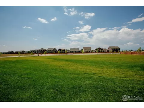 1533 Taplow Ct, Windsor, CO 80550 photo 33