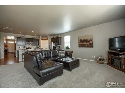 1533 Taplow Ct, Windsor, CO 80550 photo 4