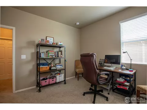 1533 Taplow Ct, Windsor, CO 80550 photo 26