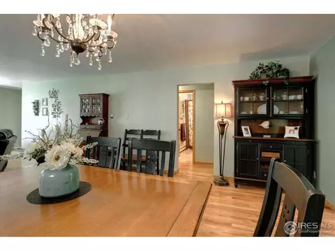220 Walnut St, Windsor, CO 80550 photo 12