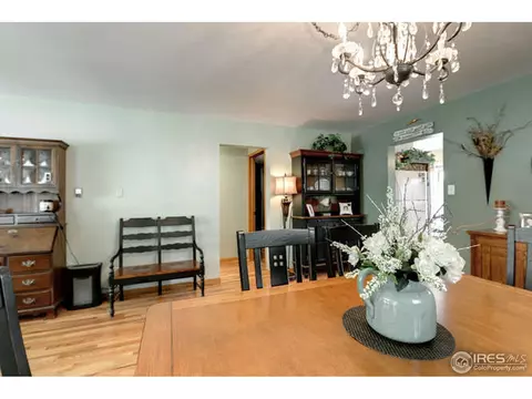 220 Walnut St, Windsor, CO 80550 photo 13