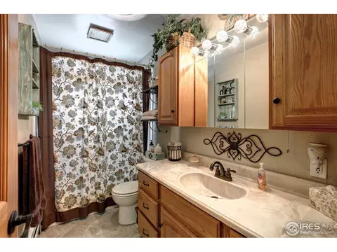 220 Walnut St, Windsor, CO 80550 photo 16