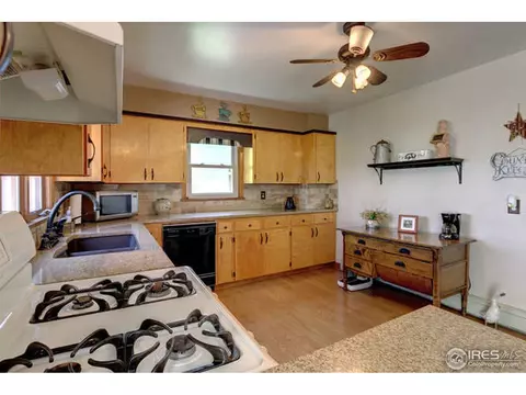 220 Walnut St, Windsor, CO 80550 photo 23