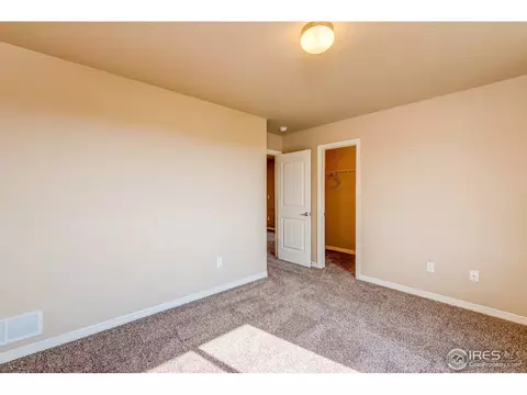 5893 Maidenhead Dr, Windsor, CO 80550 photo 5