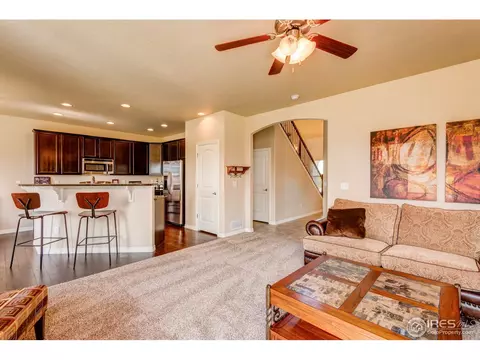 5893 Maidenhead Dr, Windsor, CO 80550 photo 4
