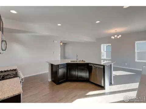 2179 Beehive Ct, Windsor, CO 80550 photo 5