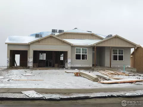 2171 Beehive Ct, Windsor, CO 80550 photo 2