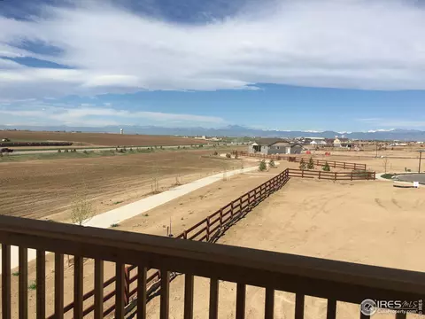 2178 Beehive Ct, Windsor, CO 80550 photo 5