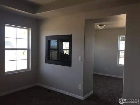 2178 Beehive Ct, Windsor, CO 80550 photo 4