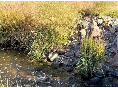 4447 E 95th Dr, Thornton, CO 80229 photo 33