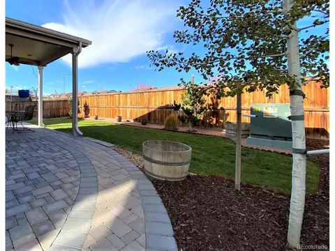 4447 E 95th Dr, Thornton, CO 80229 photo 10
