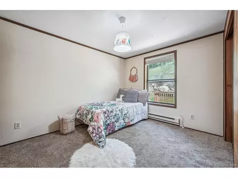 2695 County Road 72, Bailey, CO 80421 photo 11