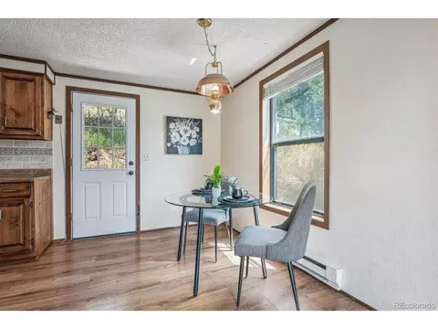 2695 County Road 72, Bailey, CO 80421 photo 6